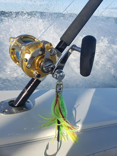 A fishing rod and reel overlooking the ocean